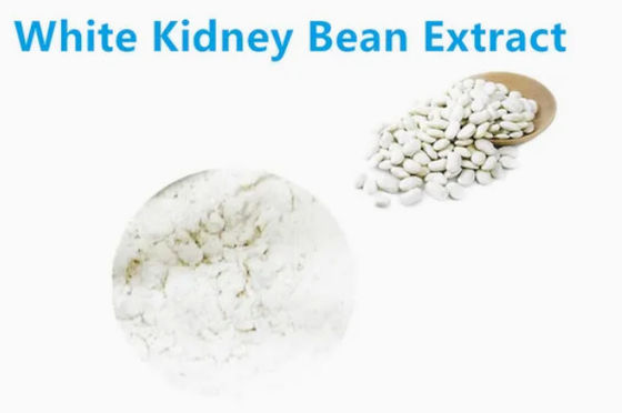 White Kidney Bean Extract For Keeping Health And Promoting Growth CAS NO 85085-22-9
