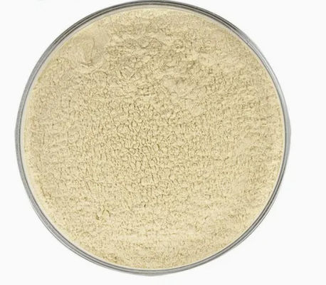 White Kidney Bean Extract For Keeping Health And Promoting Growth CAS NO 85085-22-9