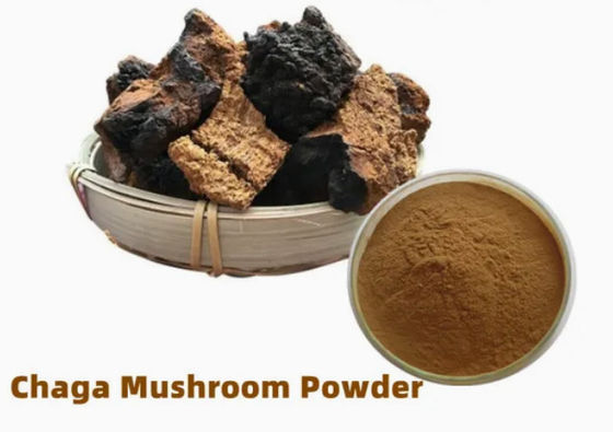 Natural 10%~50% Polysaccharides Chaga Extract Powder Extract  CAS 84650-60-9