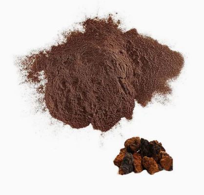 Natural 10%~50% Polysaccharides Chaga Extract Powder Extract  CAS 84650-60-9