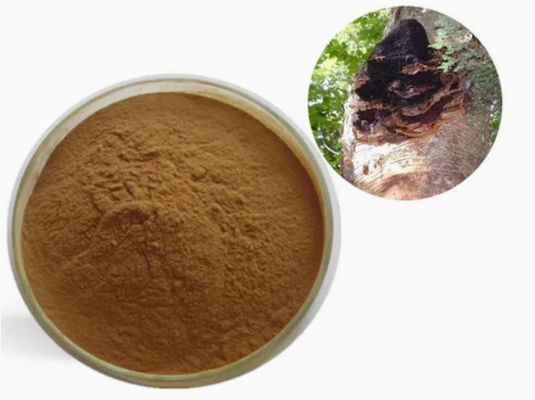 Natural 10%~50% Polysaccharides Chaga Extract Powder Extract  CAS 84650-60-9