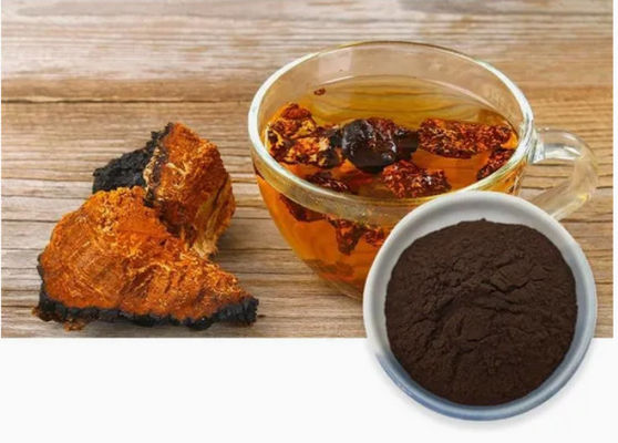 Natural 10%~50% Polysaccharides Chaga Extract Powder Extract  CAS 84650-60-9