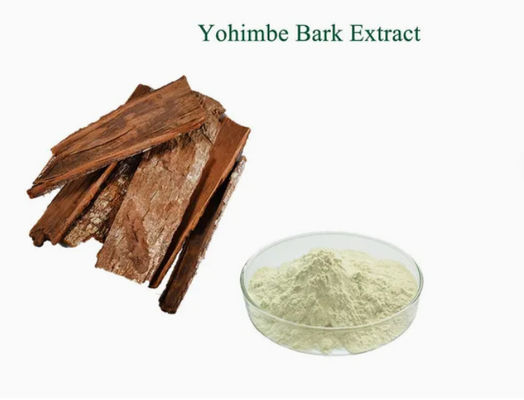 Pharmaceutical Food Grade Yohimbe Bark Powder Extract CAS NO 65-19-0 Health Care