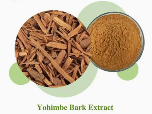 Pharmaceutical Food Grade Yohimbe Bark Powder Extract CAS NO 65-19-0 Health Care