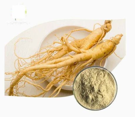 Natural Organic High Grade Ginseng Extract CAS NO 90045-38-8 Ginseng Monomer Saponins