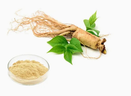 Natural Organic High Grade Ginseng Extract CAS NO 90045-38-8 Ginseng Monomer Saponins