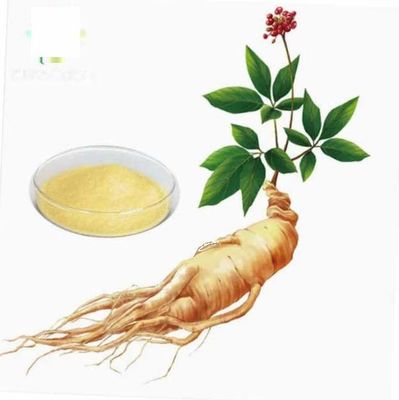 Natural Organic High Grade Ginseng Extract CAS NO 90045-38-8 Ginseng Monomer Saponins