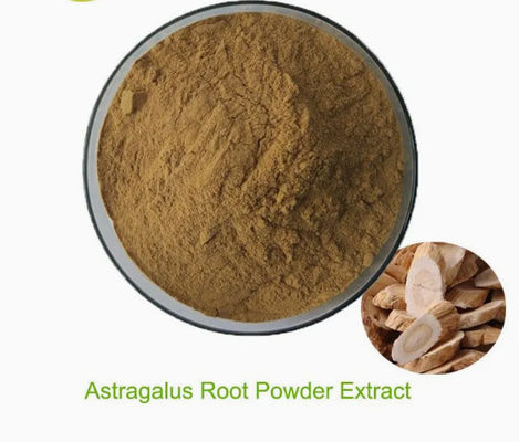 Astragalus Extract With Astragaloside A Cycloastragenol Polysaccharides CAS 84687-43-4