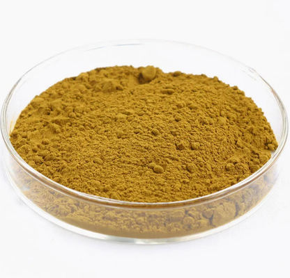 Astragalus Extract With Astragaloside A Cycloastragenol Polysaccharides CAS 84687-43-4