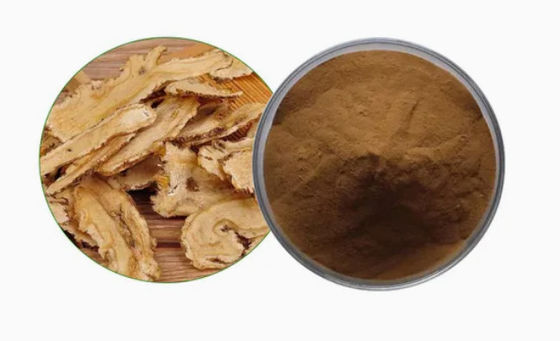 Chinese Medicine Extract Raw Material Angelica Extract CAS NO 84775-41-7 Health