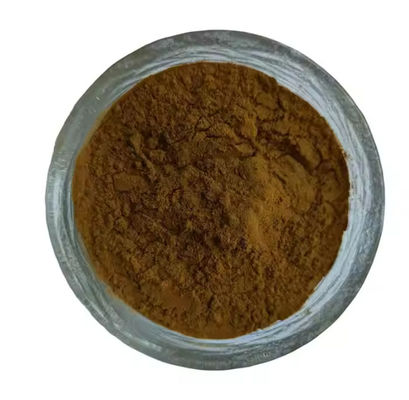 Chinese Medicine Extract Raw Material Angelica Extract CAS NO 84775-41-7 Health