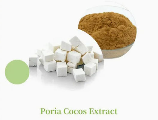 Herbway Plant Extract Powder Poria Cocos Extract CAS NO 65637-98-1 50% Polysaccharide