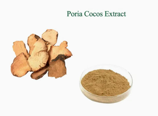 Herbway Plant Extract Powder Poria Cocos Extract CAS NO 65637-98-1 50% Polysaccharide