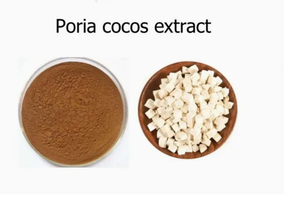 Herbway Plant Extract Powder Poria Cocos Extract CAS NO 65637-98-1 50% Polysaccharide