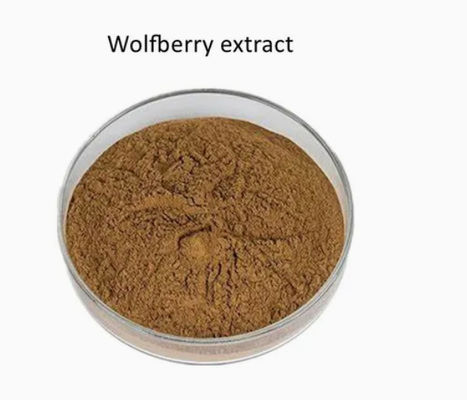 Natural Pure Anti Oxidant Wolfberry Extract CAS NO 11-40-5 Goji Berry Extract