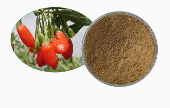Natural Pure Anti Oxidant Wolfberry Extract CAS NO 11-40-5 Goji Berry Extract