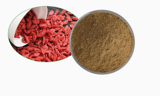Natural Pure Anti Oxidant Wolfberry Extract CAS NO 11-40-5 Goji Berry Extract