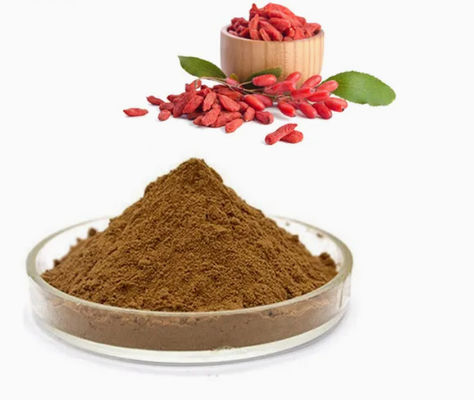 Natural Pure Anti Oxidant Wolfberry Extract CAS NO 11-40-5 Goji Berry Extract