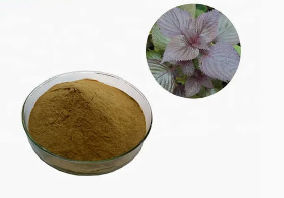 Natural Organic Perilla Leaf Extract CAS NO 90082-61-4 Annual Herbs Powder