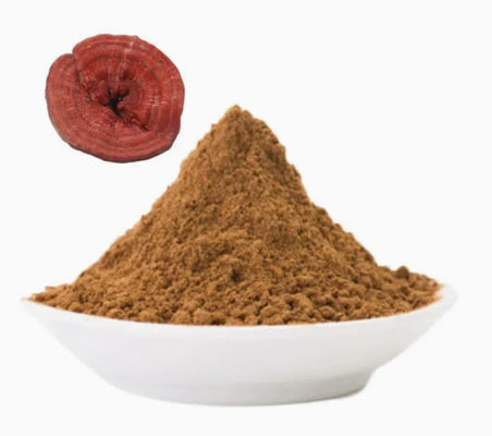 Herbal Medicine Ganoderma Lucidum Spore Powder CAS NO 223751-82-4 Natural Organic