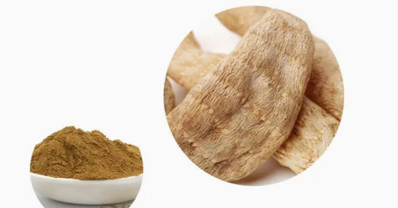 Pharmaceutical Healthcare Gastrodia Elata Extracts CAS NO 62499-27-8 Gastrodia Elata BL