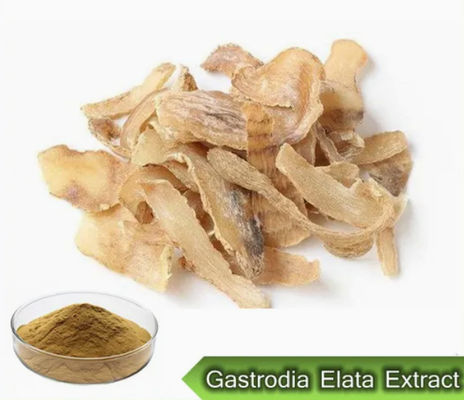 Pharmaceutical Healthcare Gastrodia Elata Extracts CAS NO 62499-27-8 Gastrodia Elata BL