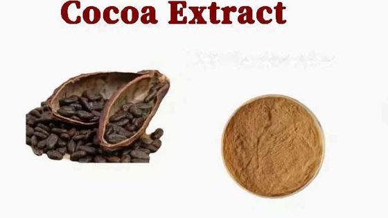 Pure Natural Cocoa Extract Theobromine CAS NO 83-67-0 Herbal Extracts Food Additive