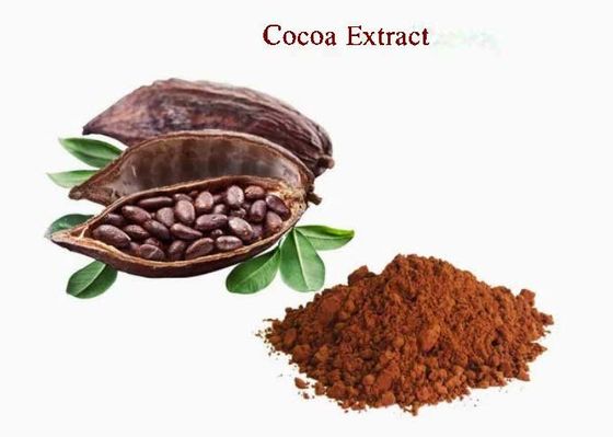 Pure Natural Cocoa Extract Theobromine CAS NO 83-67-0 Herbal Extracts Food Additive