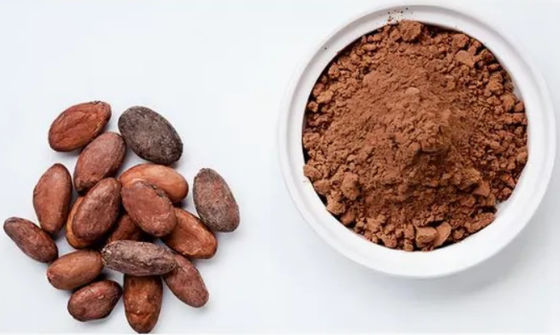 Pure Natural Cocoa Extract Theobromine CAS NO 83-67-0 Herbal Extracts Food Additive
