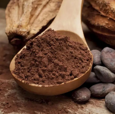 Pure Natural Cocoa Extract Theobromine CAS NO 83-67-0 Herbal Extracts Food Additive