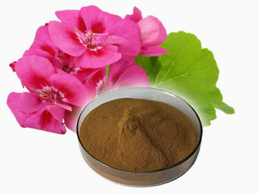 Organic Food Grade Geranium Extract Powder CAS NO 8000-46-2 Pelargonium Hortorum