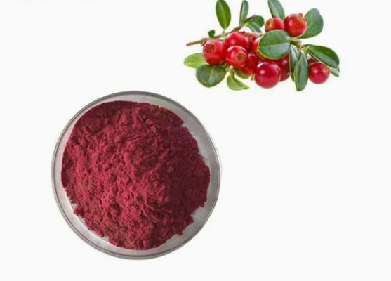 Fresh Natural Pure Cranberry Extracts CAS NO 84929-27-1 Powder 25% Anthocyanidin