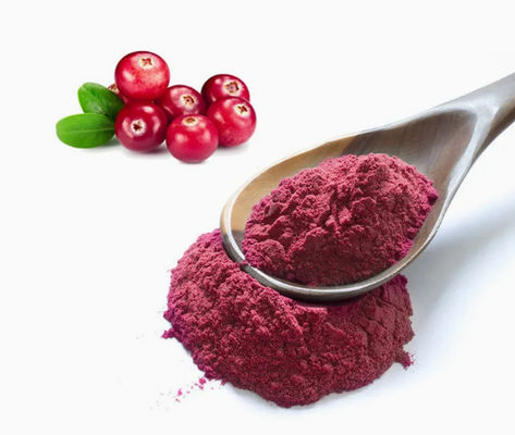 Fresh Natural Pure Cranberry Extracts CAS NO 84929-27-1 Powder 25% Anthocyanidin
