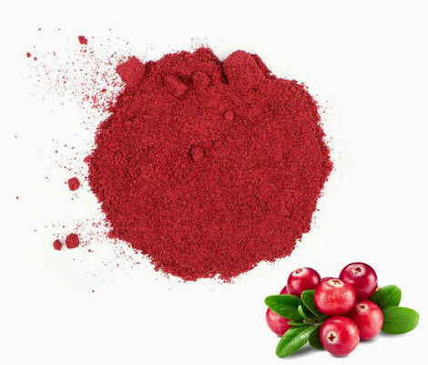 Fresh Natural Pure Cranberry Extracts CAS NO 84929-27-1 Powder 25% Anthocyanidin