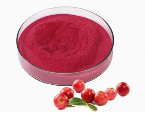 Fresh Natural Pure Cranberry Extracts CAS NO 84929-27-1 Powder 25% Anthocyanidin