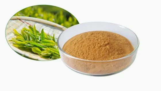 Herbal Natural Food Grade Green Tea Extract CAS NO 989-51-5 Camellia Sinensis o.ktze