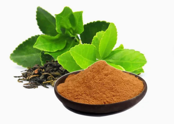 Herbal Natural Food Grade Green Tea Extract CAS NO 989-51-5 Camellia Sinensis o.ktze