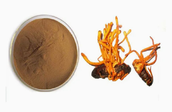 Organic Selenium Enriched Cordyceps Militaris Powder CAS NO 73-03-0 Medicinal Mushroom