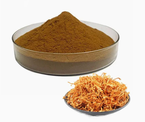 Organic Selenium Enriched Cordyceps Militaris Powder CAS NO 73-03-0 Medicinal Mushroom