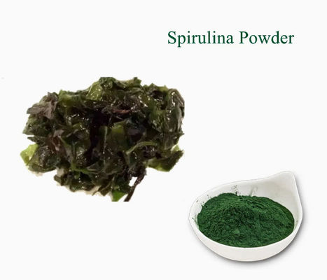 Plant Extracts Healthcare Supplement Spirulina CAS NO 724424-92-4 Green Alga Powder
