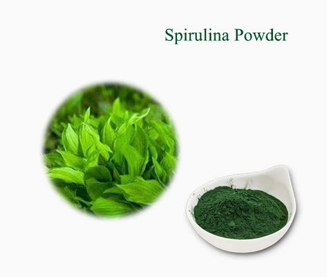 Plant Extracts Healthcare Supplement Spirulina CAS NO 724424-92-4 Green Alga Powder