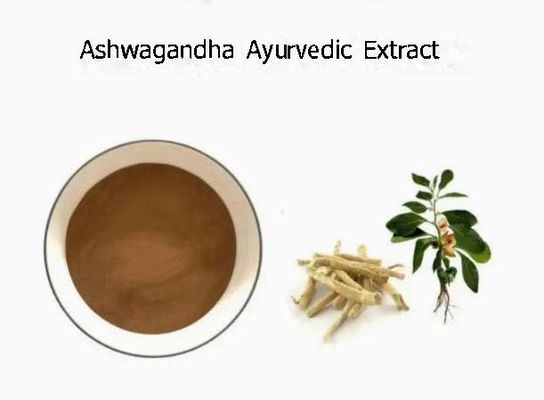 Herbal Extract Ashwagandha Ayurvedic Extracts CAS NO 90147-43-6 5% Withanolide Powder