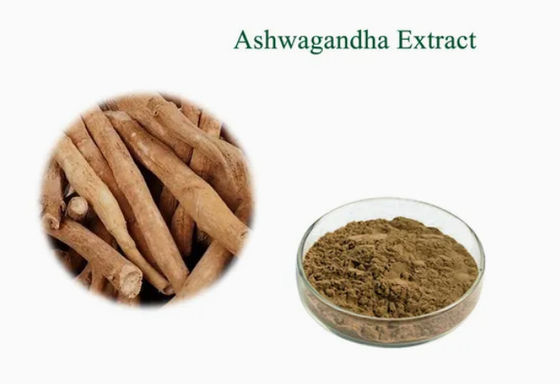Herbal Extract Ashwagandha Ayurvedic Extracts CAS NO 90147-43-6 5% Withanolide Powder