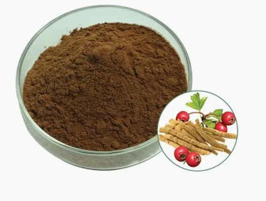 Herbal Extract Ashwagandha Ayurvedic Extracts CAS NO 90147-43-6 5% Withanolide Powder