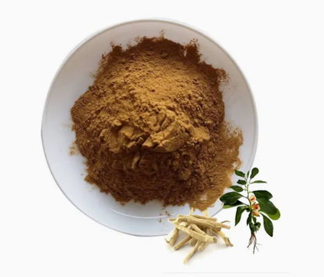 Herbal Extract Ashwagandha Ayurvedic Extracts CAS NO 90147-43-6 5% Withanolide Powder