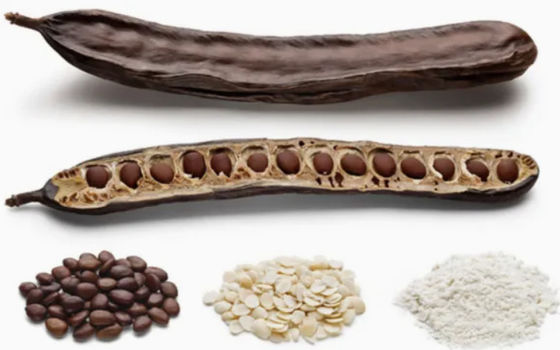 Organic Food And Cosmetic Grade Carob Gum Powder CAS NO 9000-40-2 Locust Bean Gum