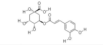 Pharmaceutical Key Raw Material Or Intermediates Chlorogenic Acid CAS NO 327-97-9 Powder
