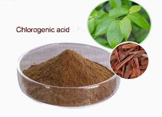 Pharmaceutical Key Raw Material Or Intermediates Chlorogenic Acid CAS NO 327-97-9 Powder