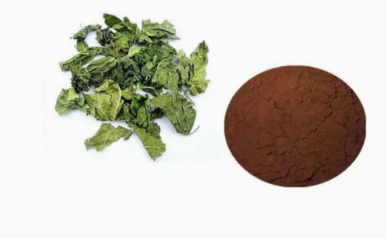 Pharmaceutical Key Raw Material Or Intermediates Chlorogenic Acid CAS NO 327-97-9 Powder