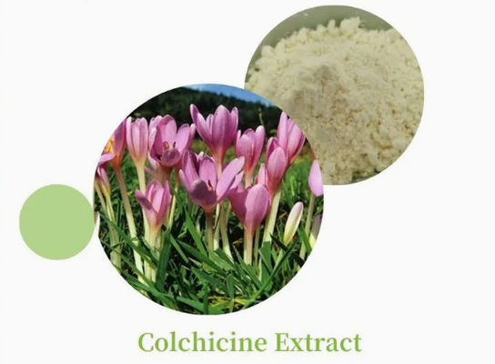 Pharmaceutical CAS No 64-86-8 Colchicine Extract USP/Ep 97~103% Colcemid Colchicine